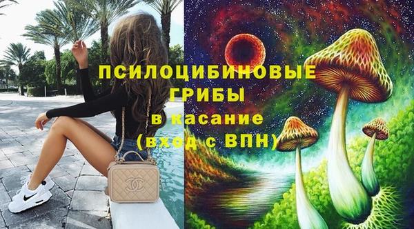 дмт Арсеньев